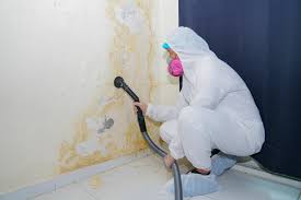 Best Biohazard Mold Removal  in Mission, OR